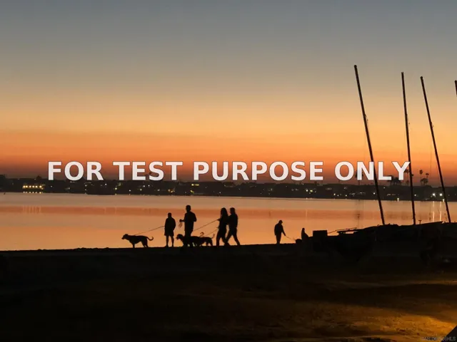 Demo/Test Data 4135 Sw Fanuel St Southwest, Pacific Beach, CA 92109