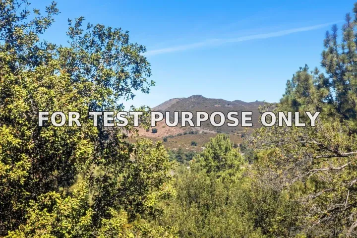 Demo/Test Data 8141 Pine Blvd, Pine Valley, CA 91962