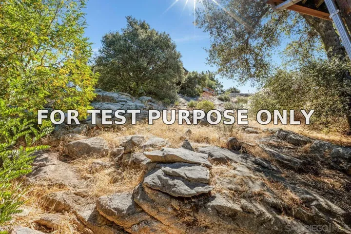 Demo/Test Data 8141 Pine Blvd, Pine Valley, CA 91962