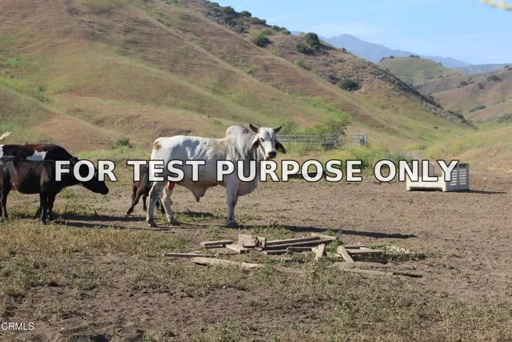 Demo/Test Data 0 Dickenson, Santa Paula, CA 93060