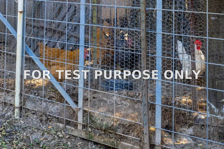 Demo/Test Data 1267 Ridge Trl, Julian, CA 92036