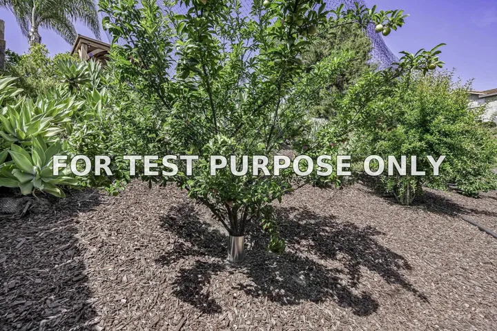 Demo/Test Data 5241 Alamosa Park Dr, Oceanside, CA 92057