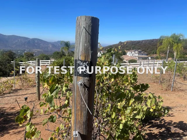 Demo/Test Data 15068 Creek Hills Rd, El Cajon, CA 92021
