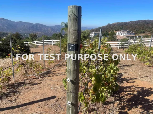 Demo/Test Data 15068 Creek Hills Rd, El Cajon, CA 92021