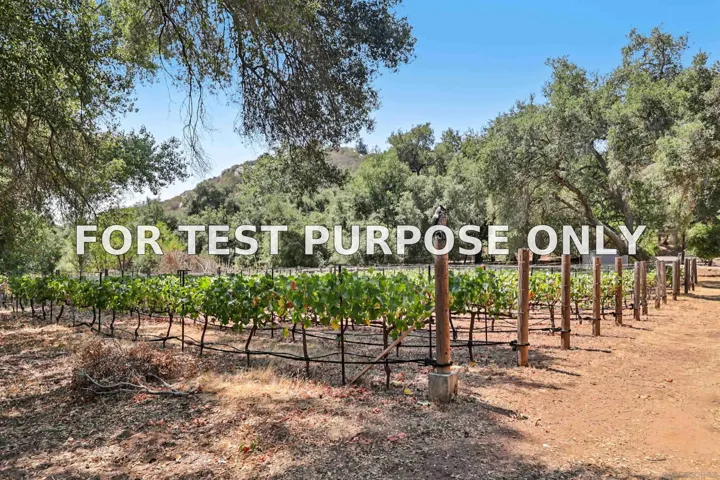 Demo/Test Data 14671 Mussey Grade Road, Ramona, CA 92065