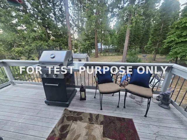 Demo/Test Data 17198 Skyway Road, Stirling City, CA 95978