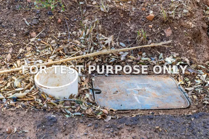 Demo/Test Data Frisius Dr Unit 42, Julian, CA 92036