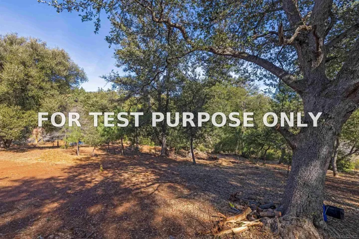 Demo/Test Data Frisius Dr Unit 42, Julian, CA 92036