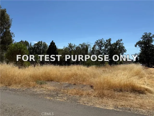 Demo/Test Data 560 Rustic, Paradise, CA 95969