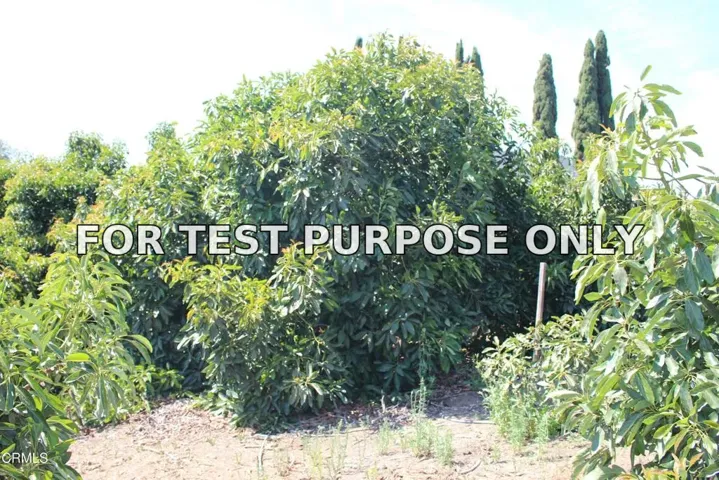Demo/Test Data 6150 Baja Vista Drive, Somis, CA 93066