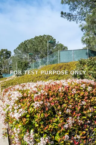 Demo/Test Data 1275 River Vista Row Unit 139, San Diego, CA 92111