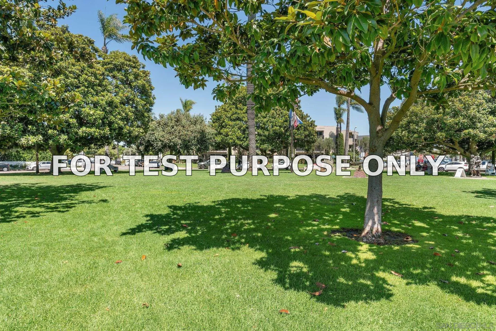 Beautiful Star Park is your front yard!