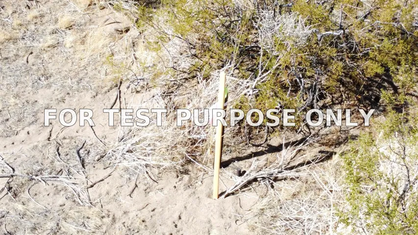 Demo/Test Data 0 Great Southern Overland Rte. Unit 1, Julian, CA 92036