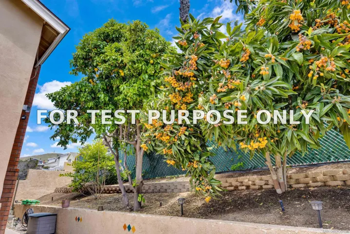 Demo/Test Data 9959 Riverhead Dr, San Diego, CA 92129