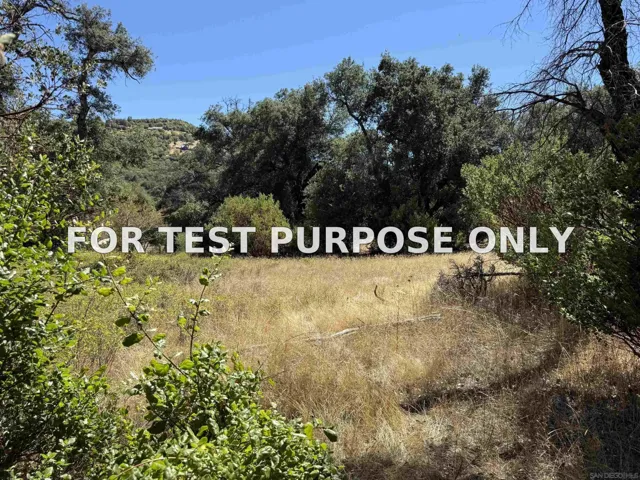 Demo/Test Data 5909 Forest Meadow Road Unit 0, Julian, CA 92036