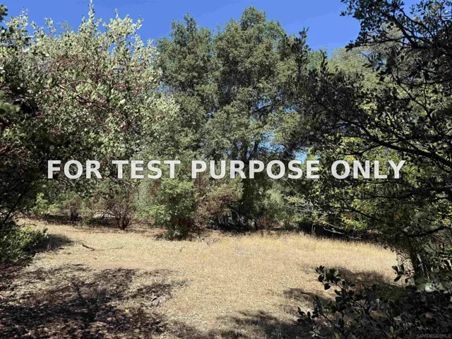 Demo/Test Data 5909 Forest Meadow Road Unit 0, Julian, CA 92036