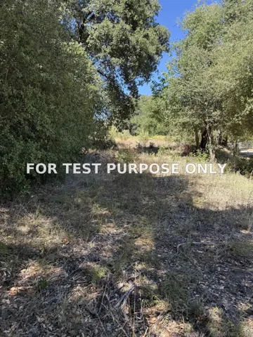 Demo/Test Data 5909 Forest Meadow Road Unit 0, Julian, CA 92036