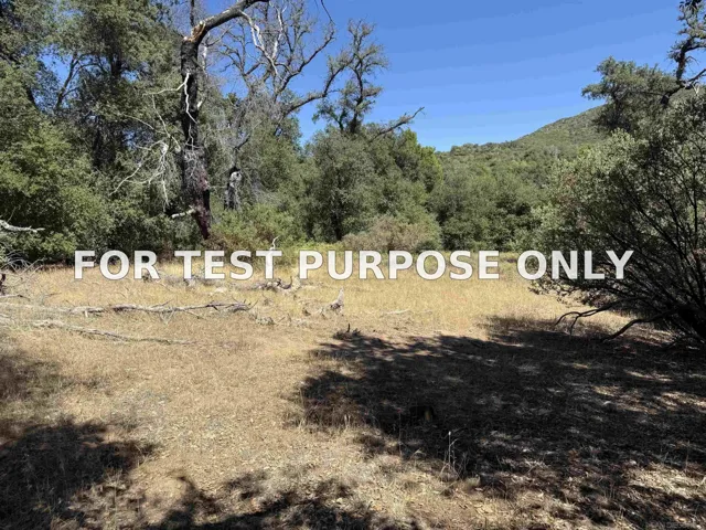 Demo/Test Data 5909 Forest Meadow Road Unit 0, Julian, CA 92036