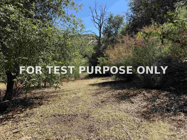 Demo/Test Data 5909 Forest Meadow Road Unit 0, Julian, CA 92036