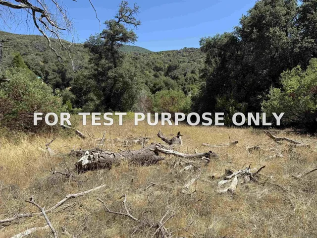 Demo/Test Data 5909 Forest Meadow Road Unit 0, Julian, CA 92036