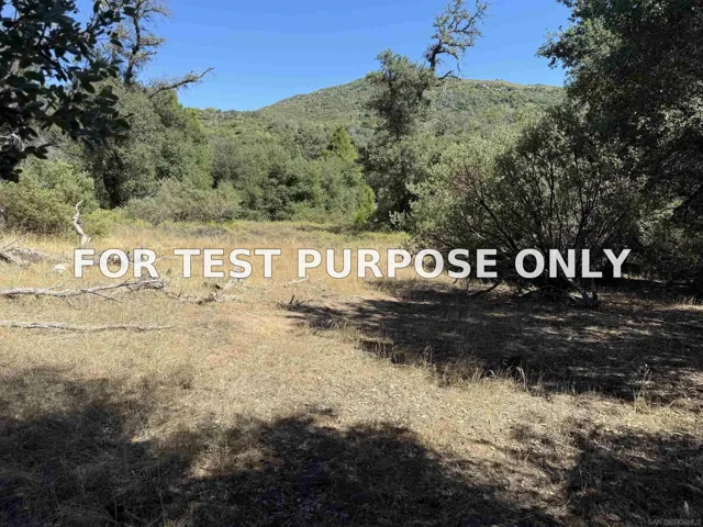 Demo/Test Data 5909 Forest Meadow Road Unit 0, Julian, CA 92036
