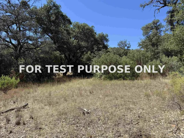 Demo/Test Data 5909 Forest Meadow Road Unit 0, Julian, CA 92036