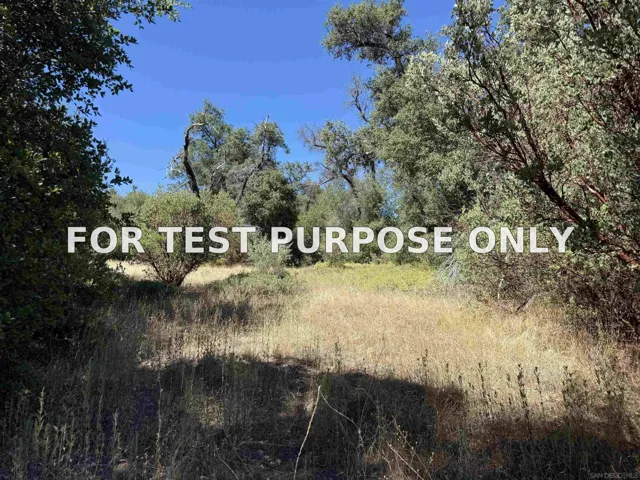 Demo/Test Data 5909 Forest Meadow Road Unit 0, Julian, CA 92036