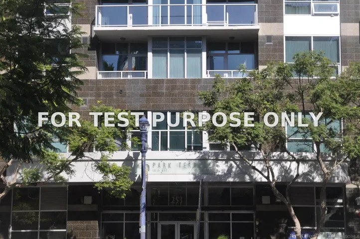 Demo/Test Data 253 10th Avenue Unit 229, San Diego, CA 92101