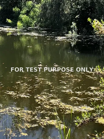 Demo/Test Data 21908 Japatul Ln, Alpine, CA 91901