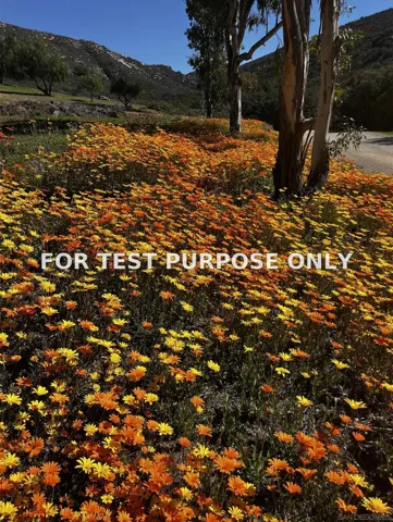 Demo/Test Data 21908 Japatul Ln, Alpine, CA 91901