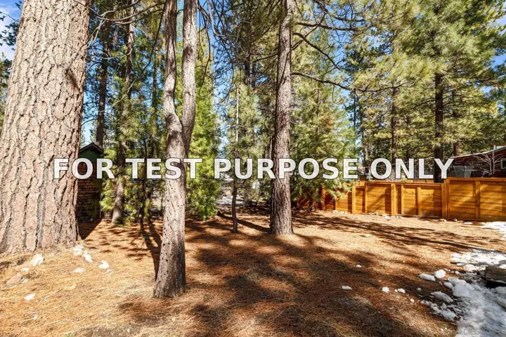 Demo/Test Data 41602 McWhinney Ln, Big Bear Lake, CA 92315