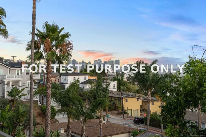 Demo/Test Data 1669 Guy St, San Diego, CA 92103