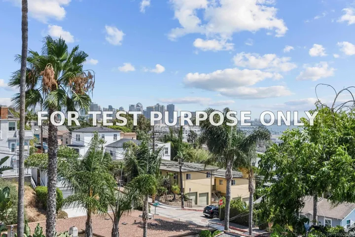Demo/Test Data 1669 Guy St, San Diego, CA 92103