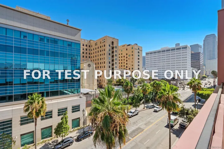 Demo/Test Data 1234 Wilshire Blvd Unit 601, los Angles, CA 90017
