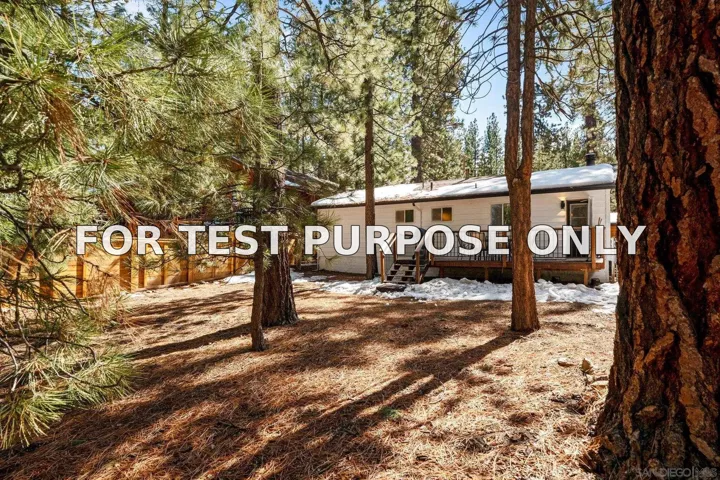 Demo/Test Data 41602 McWhinney Ln, Big Bear Lake, CA 92315