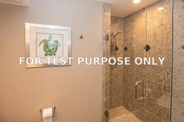 Demo/Test Data 920 Sealane DR Unit B, Encinitas, CA 92024