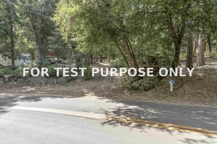 Demo/Test Data 33613 Bailey Meadow Rd, Palomar Mountain, CA 92060