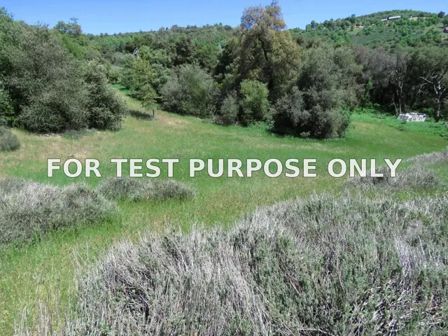 Demo/Test Data 5672 Forest Meadow Road Unit 290-210-28, Julian, CA 92036