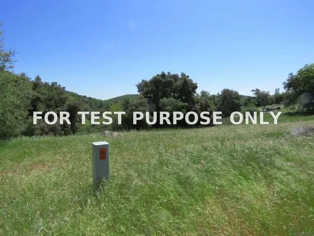 Demo/Test Data 5672 Forest Meadow Road Unit 290-210-28, Julian, CA 92036