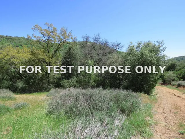 Demo/Test Data 5672 Forest Meadow Road Unit 290-210-28, Julian, CA 92036