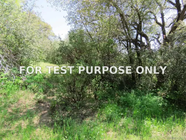 Demo/Test Data 5672 Forest Meadow Road Unit 290-210-28, Julian, CA 92036