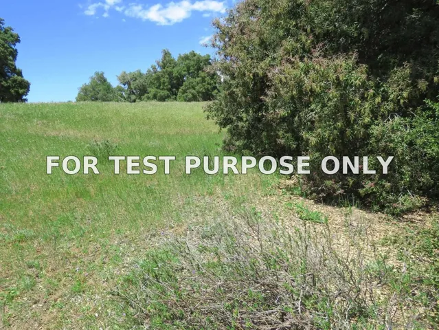 Demo/Test Data 5672 Forest Meadow Road Unit 290-210-28, Julian, CA 92036