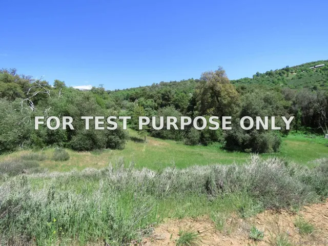 Demo/Test Data 5672 Forest Meadow Road Unit 290-210-28, Julian, CA 92036
