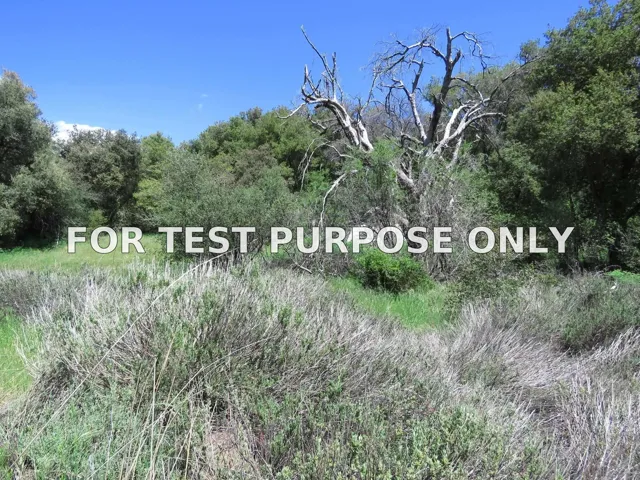Demo/Test Data 5672 Forest Meadow Road Unit 290-210-28, Julian, CA 92036