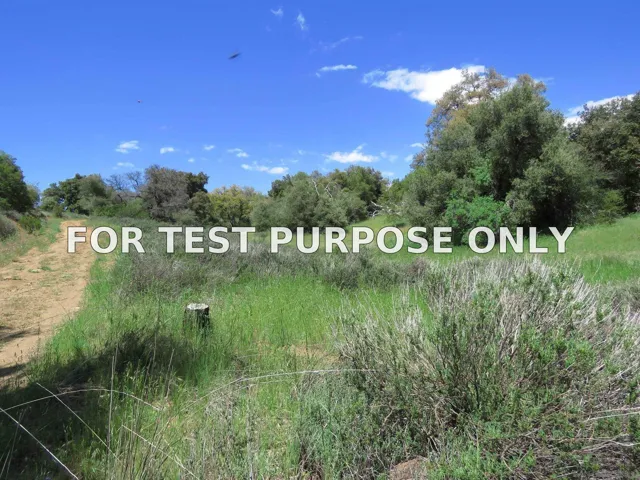 Demo/Test Data 5672 Forest Meadow Road Unit 290-210-28, Julian, CA 92036