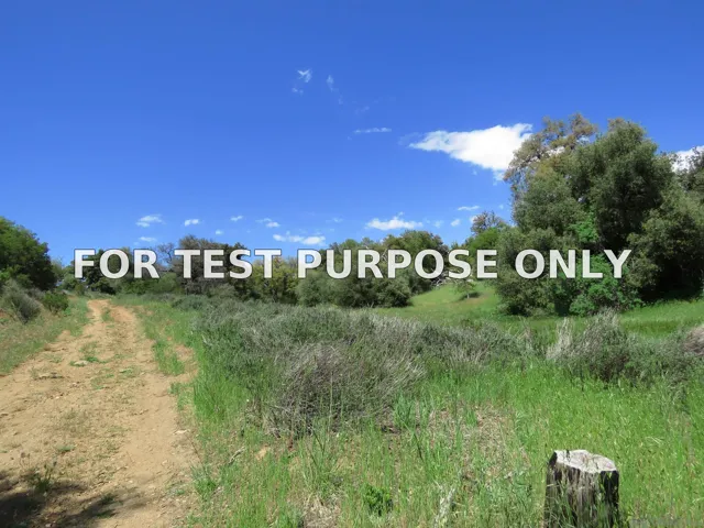 Demo/Test Data 5672 Forest Meadow Road Unit 290-210-28, Julian, CA 92036