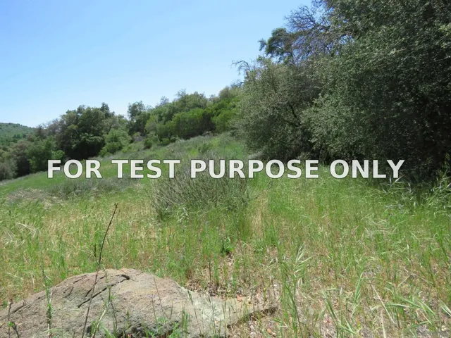 Demo/Test Data 5672 Forest Meadow Road Unit 290-210-28, Julian, CA 92036