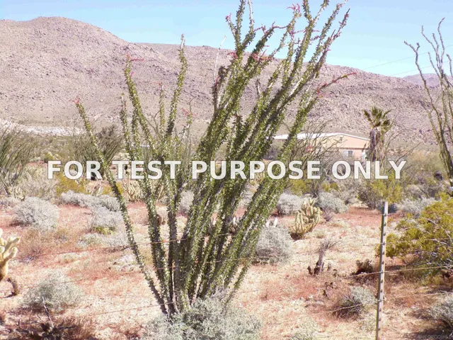 Demo/Test Data 0 Great Southern Overland Stage Route Unit 10, Julian, CA 92036