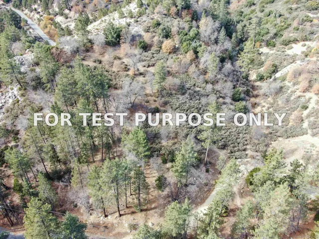 Demo/Test Data 29522 Torrey Road Unit 78, Cedar Glen, CA 92321