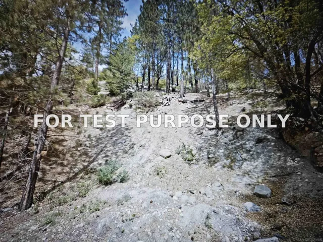 Demo/Test Data 29522 Torrey Road Unit 78, Cedar Glen, CA 92321